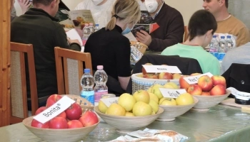 Holland Alma Kft. szakmai tájékoztató