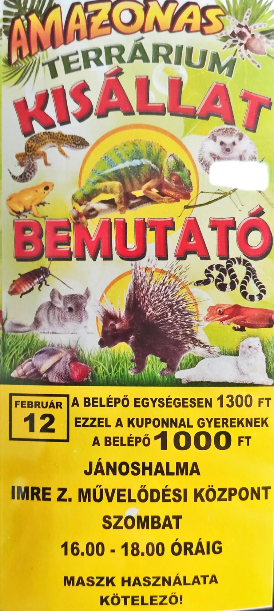 AMAZONAS Kisállat Bemutató