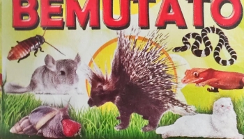 AMAZONAS Kisállat Bemutató