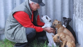 Kelebián fogadják be a jánoshalmi ebeket