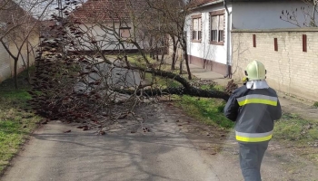 A nagy erejű szél rengeteg munkát adott a helyi tűzoltóknak