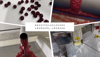 Történelmi pillanat, helyi gazdák irányításával elindult a gyümölcsfeldolgozás!