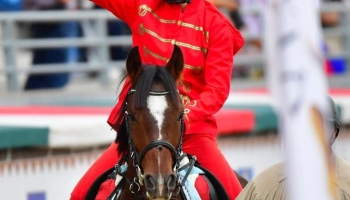 Szívből gratulálunk Posztobányi Rékának