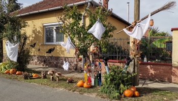 Ősz végi hangulat a Radnóti utcában