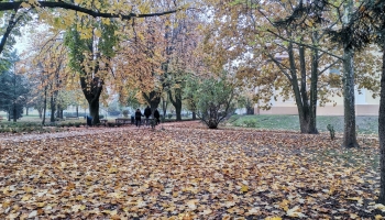Idén késve érkezett meg a falevélhullató ősz